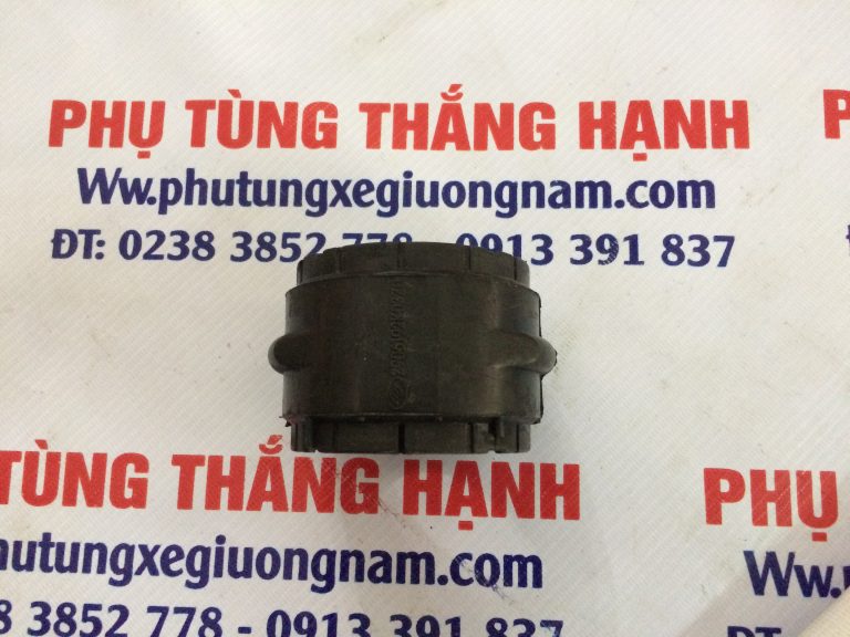 1-cao-su-can-bang-king-long
